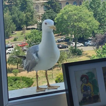 The Dome, Sala Palatului, Walking Distance To The Old Town *